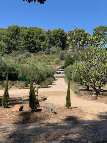 Le Petit Chene Villa Le Castellet  Exteriör bild